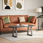vidaXL Pieds de table basse en forme de V 2 pièces Anthracite 28 x (42-43 3) cm Acier
