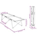 vidaXL Lit de camping pliant Bleu Métal  Tissu Standard Pliable