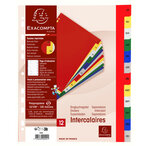 Intercalaires Imprimés Mensuel Pp Couleurs 12/100e - 12 Positions - A4+ - Assorties Vives - X 20 - Exacompta