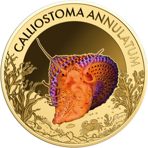 Monnaie VIOLET-BANDED TOP SNAIL Sea Creatures 1/1000 Oz Or 3000 Francs Chad (PRÉCOMMANDE)