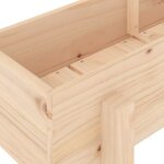 vidaXL Lit surélevé de jardin 160x30x38 cm bois de pin massif