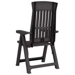 vidaXL Chaises inclinables de jardin lot de 2 anthracite PP