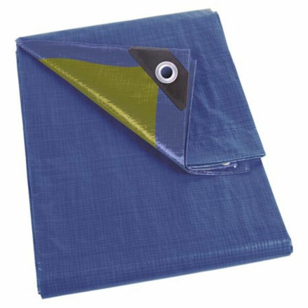 Perel Bâche  résistant  28 œillets  angles renforcés  rectangulaire  bleu/vert  110 g/m²  6 x 8 m