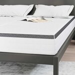 vidaXL Matelas 2 Pièces Blanc et Gris 70 x 200 cm Printemps Bonell