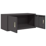 vidaXL Armoire de rangement Noir 90 x 40 x 40 cm Acier