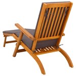 vidaXL Chaise longue inclinable et pliable 55 x 146 x 91 cm