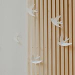 Hirondelles murales - Blanc