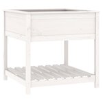 vidaXL Jardinière avec étagère Blanc 82 5x82 5x81cm Bois massif de pin
