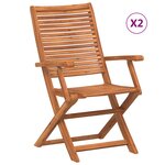 vidaXL Chaises pliantes de jardin avec accoudoir lot de 2
