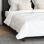 vidaXL Duvet d'hiver avec oreiller 3 Pièces Blanc 240 x 200 cm Microfibre