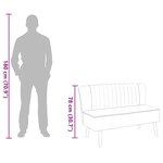 vidaXL Canapé 117 x 55 5 x 77 cm Tissu Gris clair