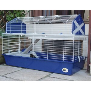 Ferplast Clapier Barn 120 119x58x77 cm Bleu