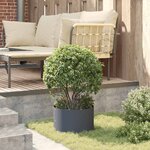 vidaXL Pots de jardin 5 Pièces Anthracite 30 x 30 x 20 cm Acier