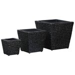 vidaXL Lits surélevés 3 Pièces Jacinthe d'eau Noir