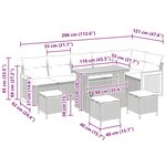 Ensemble de canapé de jardin de 10 pièces avec coussins gris poly rotin acacia