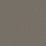 vidaXL Canapé-lit pliable Gris clair 200 x 70 x 10 cm Velours