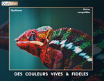 Qualitoner - 4 cartouche compatible pour brother lc3219xl lc 3219 xl noir + cyan + magenta + jaune (livres)