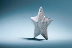 Pièce de monnaie en Argent 5 Dollars g 31.1 (1 oz) Millésime 2025 Holiday Ornament WINTER FOREST