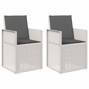 vidaXL Chaises de jardin salle à manger 2 Pièces Blanc et anthracite PP