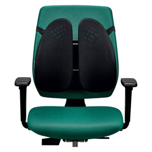 Support dorsal Angel - Fellowes