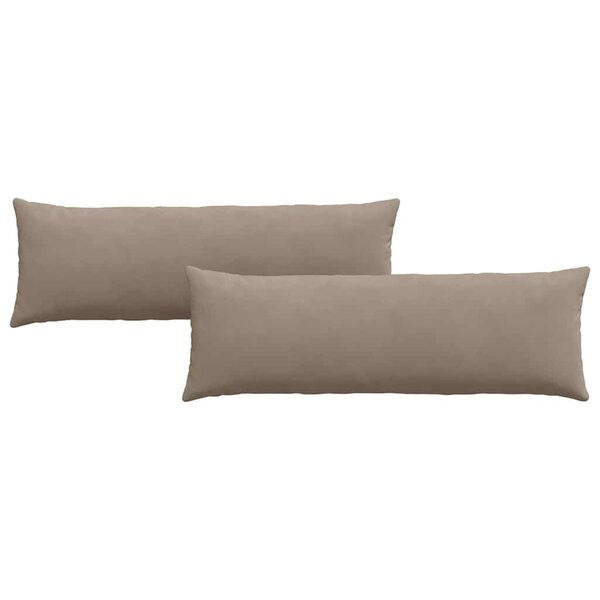 vidaXL Coussins de canapé 2 Pièces Taupe 120 x 40 cm tissu
