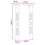 vidaXL Arche de jardin Naturel 110 x 40 x 205 cm Bambou