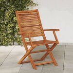 vidaXL Chaises pliantes de jardin avec accoudoir lot de 2