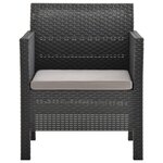 vidaXL Salon de jardin 2 Pièces avec coussin PP Rotin Anthracite