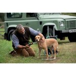 Nettoyeur haute-pression Fontus 18 Gen2 - Pression réglable - Batterie Lithium - 15L - PowerForAll