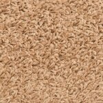 vidaXL Tapis d'escalier auto-adhésifs 15 pc 80 x 24 5 x 3 5 cm Beige