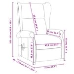 vidaXL Fauteuil de massage Gris clair Tissu