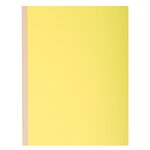 Paquet de 10 chemises à dos toilé, carte 320 grammes, dos 3cm, 24x32cm, coloris ass... EXACOMPTA