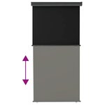 vidaXL Auvent latéral de balcon 125x250 cm noir