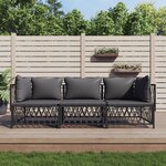 vidaXL Salon de jardin avec coussins 3 Pièces anthracite acier