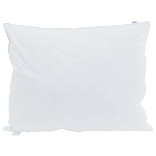 vidaXL Oreiller avec oreiller Blanc 50 x 75 cm Plume