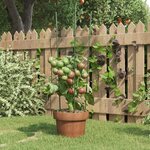 vidaXL Supports pour plantes de jardin 3 anneaux 5Pièces Vert 60 cm Acier