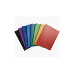 Porte vues prolypro souple grainé opaque 100 vues A4 Coloris Aléatoire EXACOMPTA