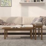 vidaXL Ensemble de tables basses 2 Pièces Marron miel Bois massif de pin