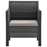 vidaXL Salon de jardin 2 Pièces avec coussins PP Rotin Anthracite