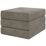 vidaXL Canapé-lit pliable 75 x 67 x 45 cm Gris clair
