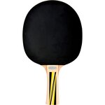 MTS Sportartikel 725051 - Raquette de tennis de table avec manche anatomique