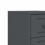 vidaXL Table de chevet anthracite 36x39x60 5 cm acier