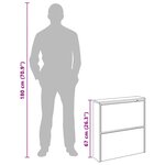 vidaXL Armoire à chaussures miroir à 2 niveaux Chêne marron 63x17x67cm