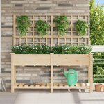 Jardinière vidaXL avec treillis et étagère 161x43x152 cm en bois massif de sapin