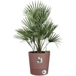 Pot de dleurs Rond GREENSENSE AQUA CARE - Plastique Réservoir - Avec roulettes - Ø 30 x 29.1 cm - Brun Argile