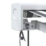 vidaXL Auvent rétractable anthracite et blanc 4 5x3 m tissu/aluminium
