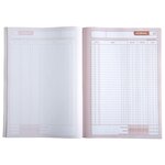 Manifold Autocopiant 297x210 Recettes Dépenses 50 Dupli - Avoine - X 5 - Le Dauphin