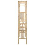vidaXL Arche de jardin Naturel 110 x 40 x 205 cm Bambou