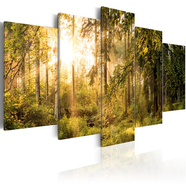 Tableau - magic of forest l x h en cm 100x50