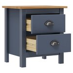 vidaXL Tables de chevet Hill 2 Pièces Gris 46x35x49 5 cm Bois de pin